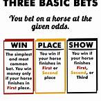 if you bet a horse to show and it wins